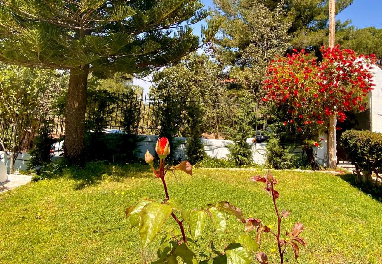 אנביסוס Villa Naya By The Beach מראה חיצוני תמונה